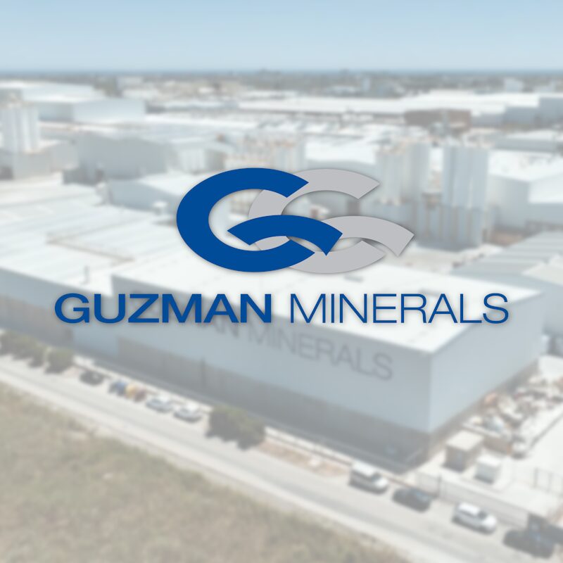 GUZMAN MINIATURA